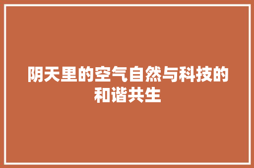 阴天里的空气自然与科技的和谐共生 综合便民