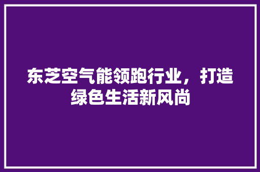 东芝空气能领跑行业，打造绿色生活新风尚 综合便民