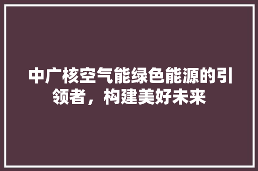 中广核空气能绿色能源的引领者，构建美好未来