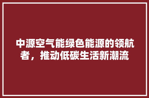 中源空气能绿色能源的领航者，推动低碳生活新潮流