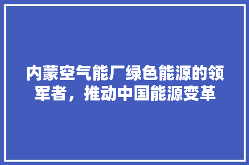 内蒙空气能厂绿色能源的领军者，推动中国能源变革 墙体维修