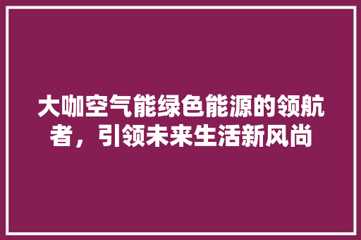 大咖空气能绿色能源的领航者，引领未来生活新风尚