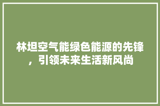 林坦空气能绿色能源的先锋，引领未来生活新风尚 厨房维修