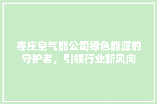 枣庄空气能公司绿色能源的守护者，引领行业新风向 家电维修