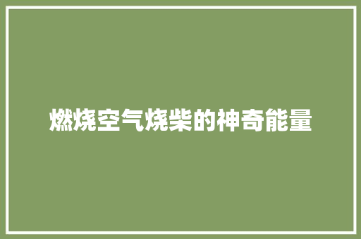 燃烧空气烧柴的神奇能量 家电维修