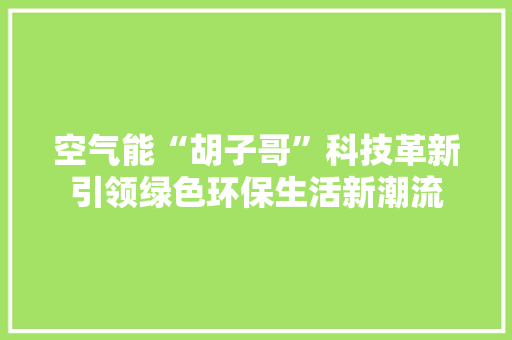 空气能“胡子哥”科技革新引领绿色环保生活新潮流 墙体维修