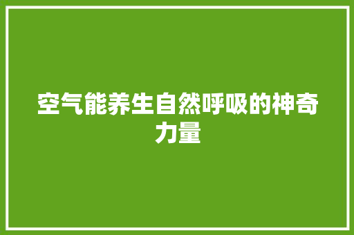 空气能养生自然呼吸的神奇力量 汽车维修