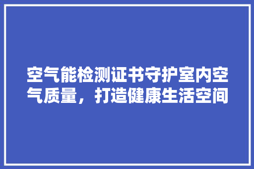 空气能检测证书守护室内空气质量，打造健康生活空间 厨房维修