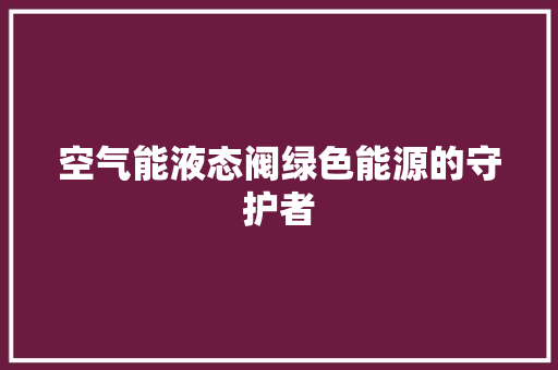 空气能液态阀绿色能源的守护者 综合便民