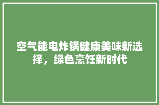 空气能电炸锅健康美味新选择，绿色烹饪新时代 墙体维修