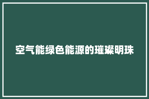 空气能绿色能源的璀璨明珠 综合便民
