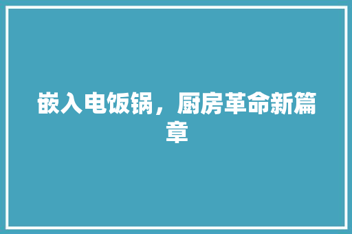 嵌入电饭锅，厨房革命新篇章 嵌入电饭锅，厨房革命新篇章 综合便民