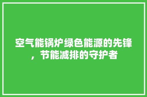 空气能锅炉绿色能源的先锋，节能减排的守护者 厨房维修