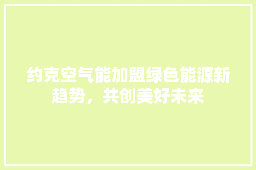 约克空气能加盟绿色能源新趋势，共创美好未来 家电维修