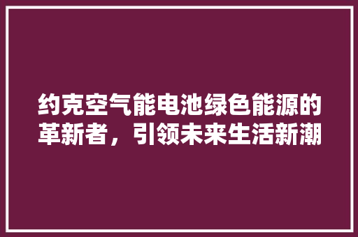 约克空气能电池绿色能源的革新者，引领未来生活新潮流 厨房维修