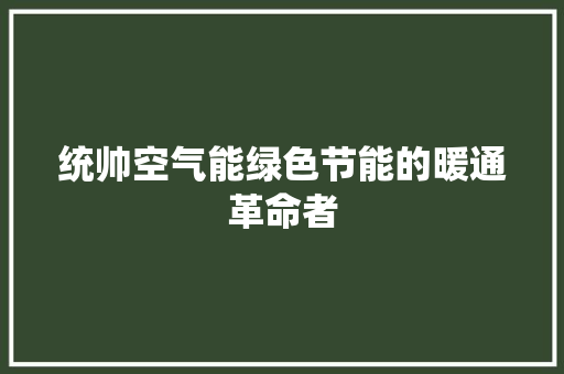 统帅空气能绿色节能的暖通革命者 综合便民