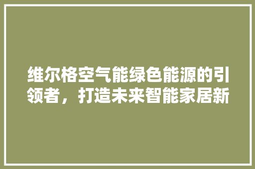 维尔格空气能绿色能源的引领者，打造未来智能家居新风尚 厨房维修