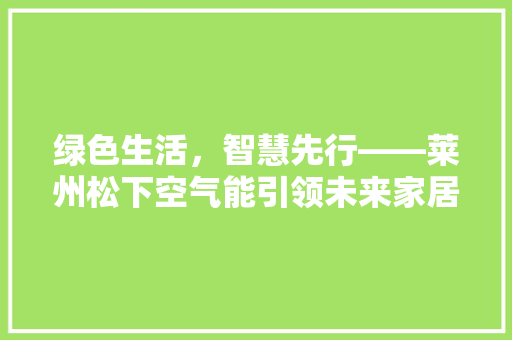 绿色生活，智慧先行——莱州松下空气能引领未来家居风尚 厨房维修