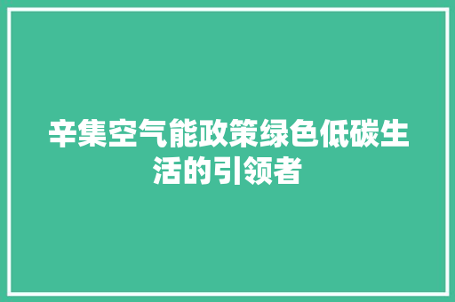 辛集空气能政策绿色低碳生活的引领者