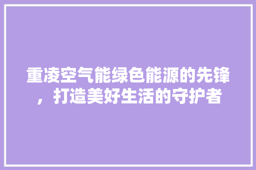 重凌空气能绿色能源的先锋，打造美好生活的守护者