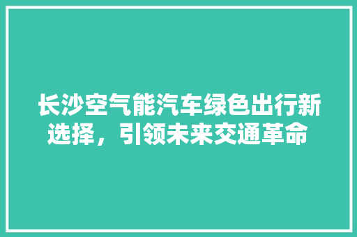 长沙空气能汽车绿色出行新选择，引领未来交通革命 家电维修