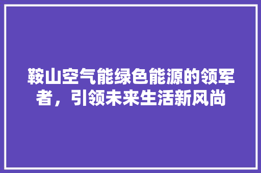 鞍山空气能绿色能源的领军者，引领未来生活新风尚 墙体维修