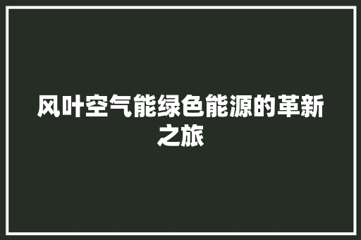 风叶空气能绿色能源的革新之旅 汽车维修