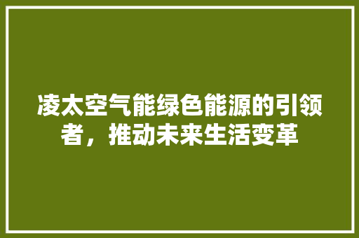 凌太空气能绿色能源的引领者，推动未来生活变革 综合便民
