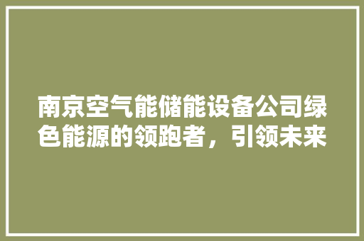 南京空气能储能设备公司绿色能源的领跑者，引领未来能源发展新潮流