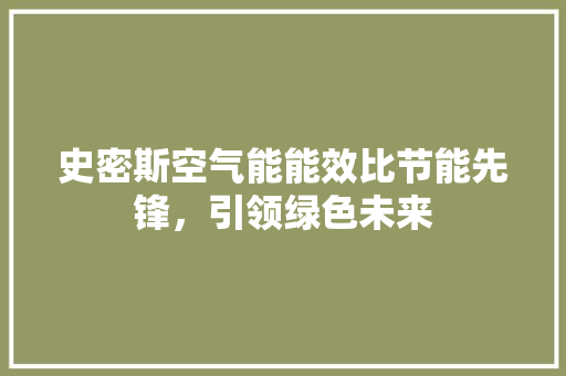 史密斯空气能能效比节能先锋，引领绿色未来 汽车维修
