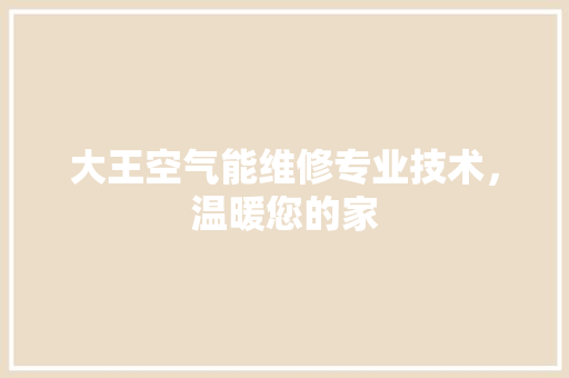 大王空气能维修专业技术，温暖您的家