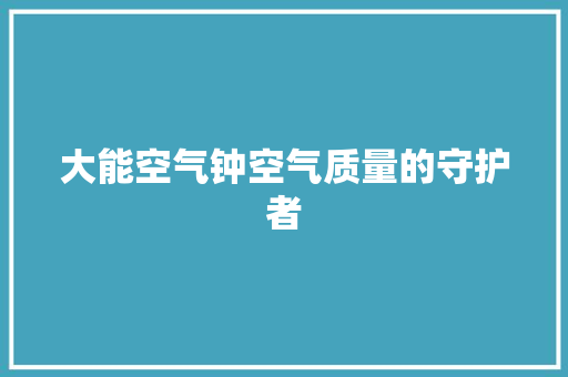 大能空气钟空气质量的守护者