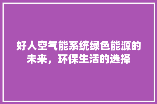好人空气能系统绿色能源的未来，环保生活的选择 家电维修