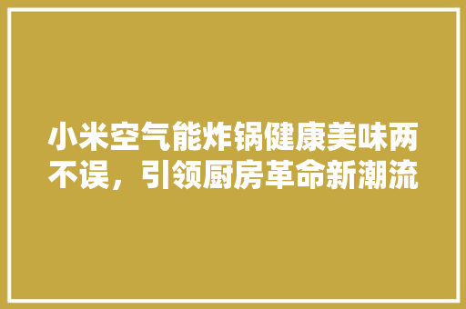 小米空气能炸锅健康美味两不误，引领厨房革命新潮流 综合便民