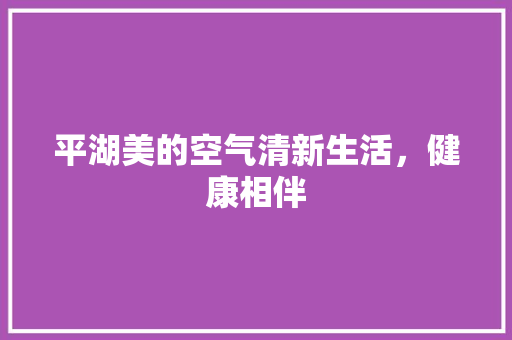 平湖美的空气清新生活，健康相伴