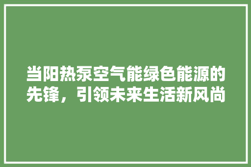 当阳热泵空气能绿色能源的先锋，引领未来生活新风尚