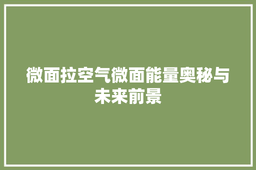 微面拉空气微面能量奥秘与未来前景