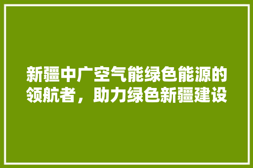 新疆中广空气能绿色能源的领航者，助力绿色新疆建设