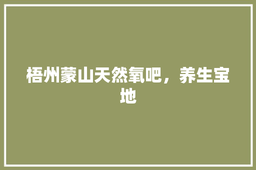梧州蒙山天然氧吧，养生宝地 墙体维修