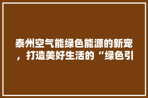 泰州空气能绿色能源的新宠，打造美好生活的“绿色引擎”