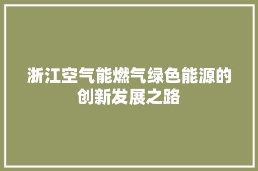浙江空气能燃气绿色能源的创新发展之路