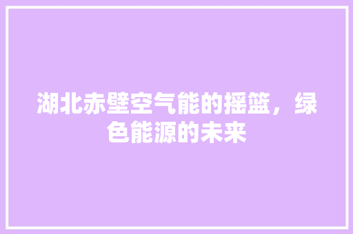 湖北赤壁空气能的摇篮，绿色能源的未来 汽车维修