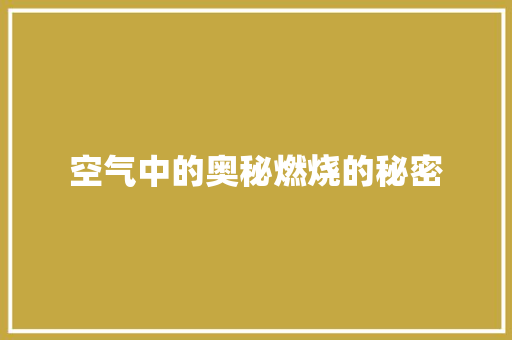 空气中的奥秘燃烧的秘密