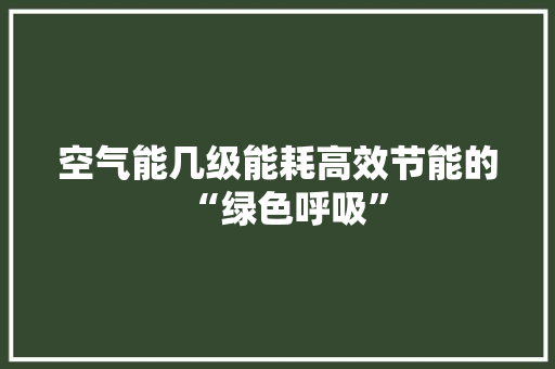 空气能几级能耗高效节能的“绿色呼吸” 墙体维修