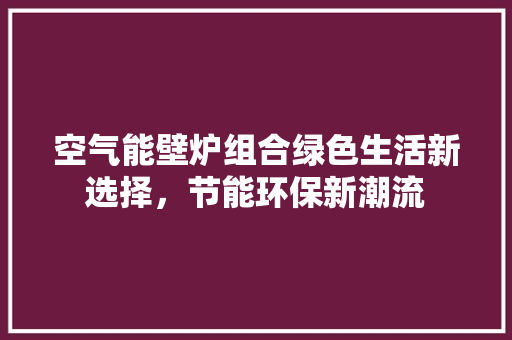 空气能壁炉组合绿色生活新选择，节能环保新潮流 厨房维修
