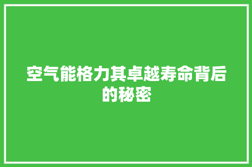 空气能格力其卓越寿命背后的秘密 厨房维修