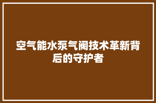 空气能水泵气阀技术革新背后的守护者 厨房维修