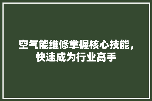 空气能维修掌握核心技能，快速成为行业高手