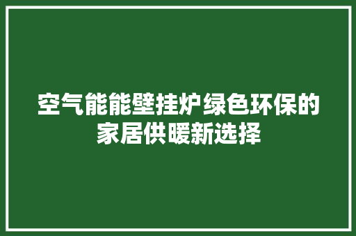 空气能能壁挂炉绿色环保的家居供暖新选择 墙体维修