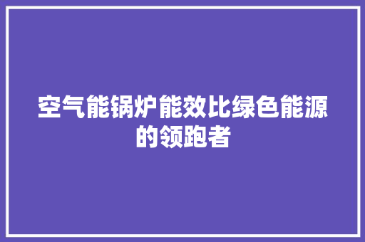 空气能锅炉能效比绿色能源的领跑者